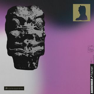 fons lila amb un cara d'un camaleó molt contrastada