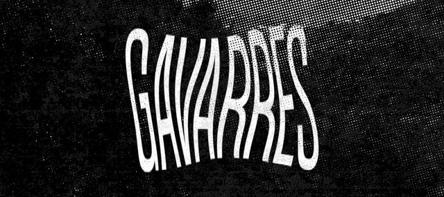 caratula del disc de gavarres