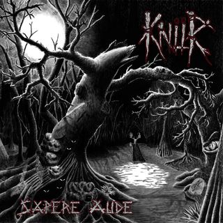 dibuix d'un bosc molt tenebrós